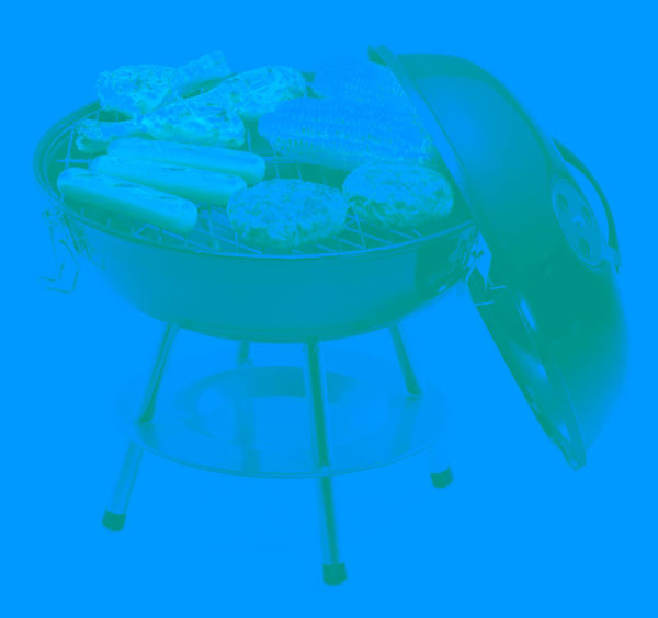 Portable Charcoal Grill